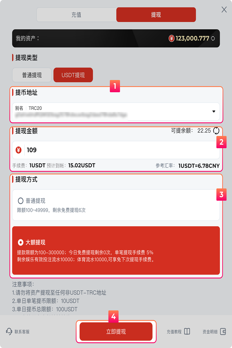 九游娱乐提款教程 3 USDT提款页面