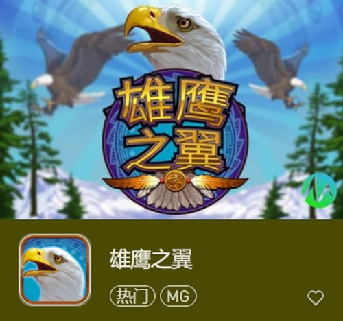 雄鹰之翼