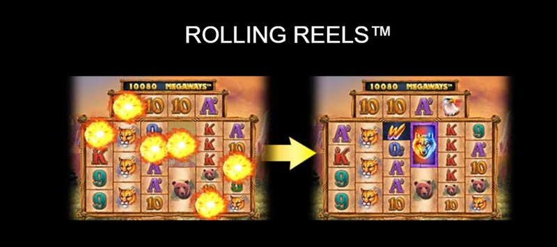 ROLLING REELS