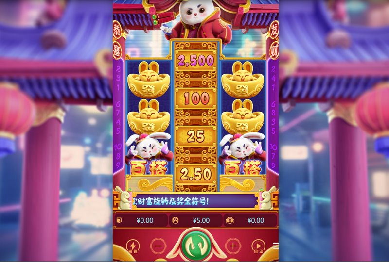 金钱兔