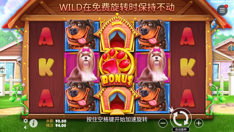 汪汪之家
