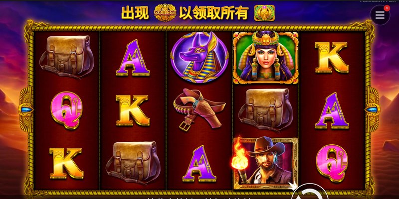 金龟子女王