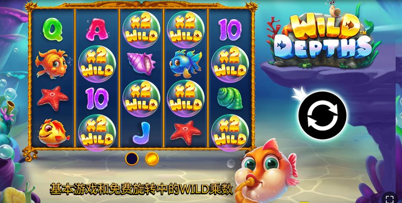 漫游WILD