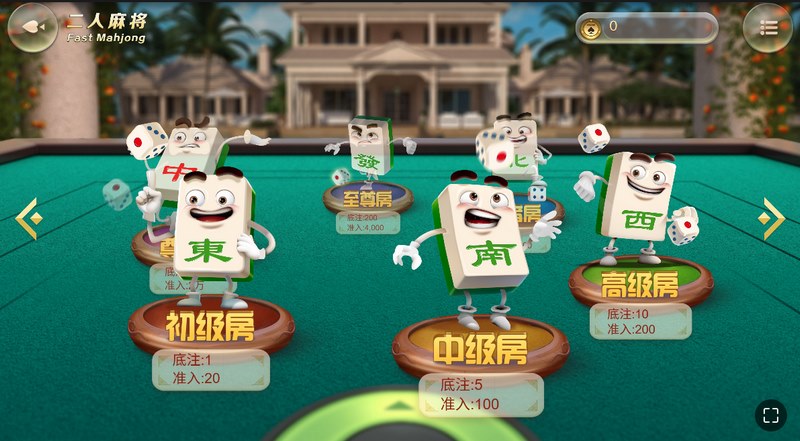 《二人麻将》——双人对决,智勇争锋! 5 二人麻将