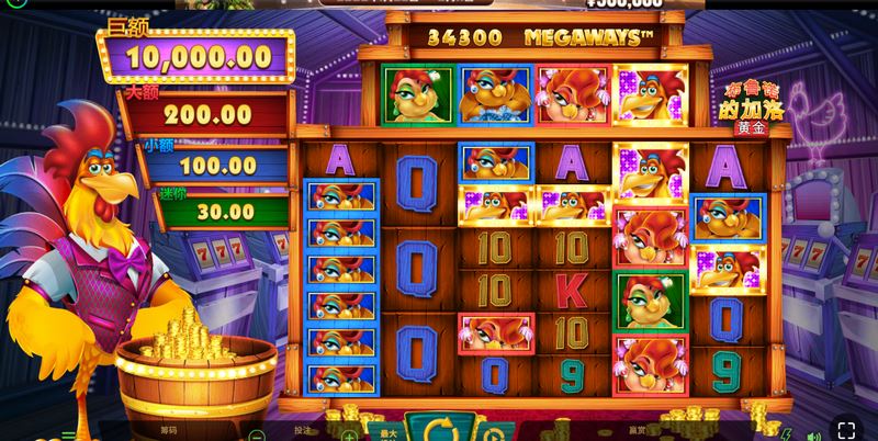 踏上寻金冒险之旅——《布鲁诺的加洛黄金》震撼来袭! 2 布鲁诺的加洛黄金